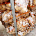 Potato Wholesale China New Harvest 2021 Mesh Bag Potato Sweet Potato